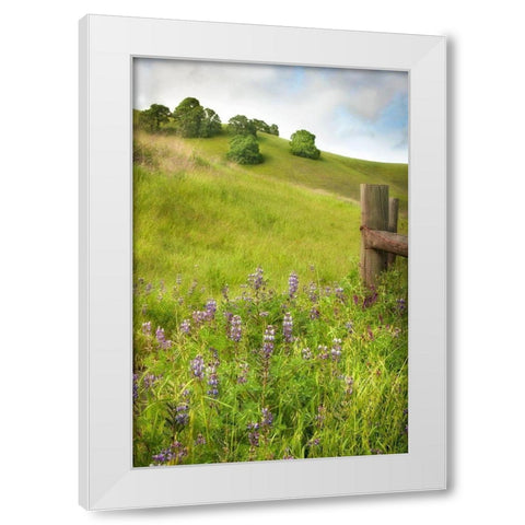 Wildflower Hill 4 White Modern Wood Framed Art Print by Poinski, Dianne