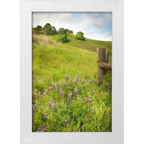 Wildflower Hill 4 White Modern Wood Framed Art Print by Poinski, Dianne