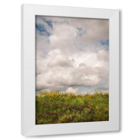 Blue Sky Vista 1 White Modern Wood Framed Art Print by Poinski, Dianne