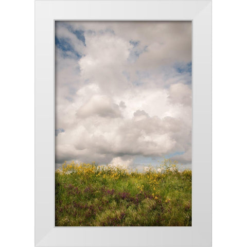 Blue Sky Vista 1 White Modern Wood Framed Art Print by Poinski, Dianne