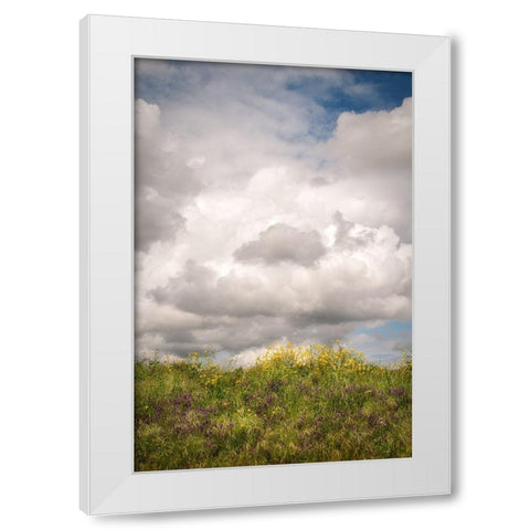 Blue Sky Vista 2 White Modern Wood Framed Art Print by Poinski, Dianne