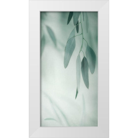 Depth Variation 1 White Modern Wood Framed Art Print by Poinski, Dianne