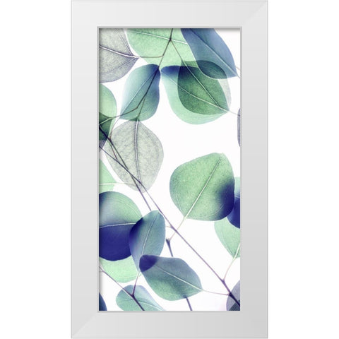 Vibrant Leaves 1 White Modern Wood Framed Art Print by Poinski, Dianne