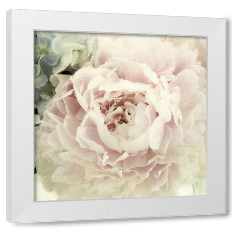 Peony 3 White Modern Wood Framed Art Print by Poinski, Dianne