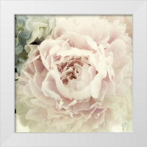 Peony 3 White Modern Wood Framed Art Print by Poinski, Dianne