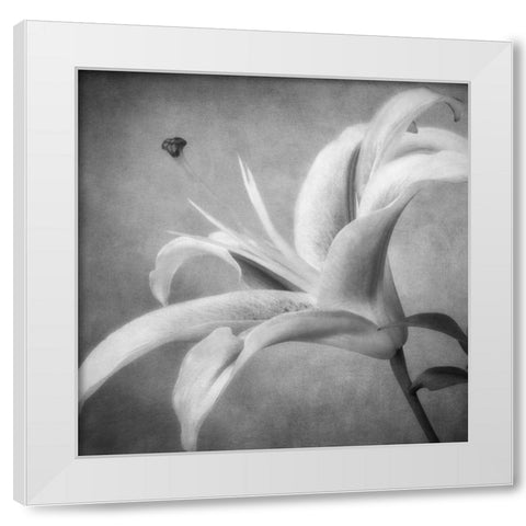Black and White Lily 4 White Modern Wood Framed Art Print by Poinski, Dianne
