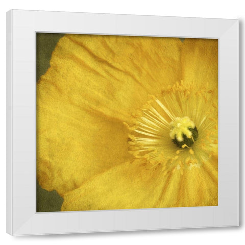 Yellow Poppy 2 White Modern Wood Framed Art Print by Poinski, Dianne