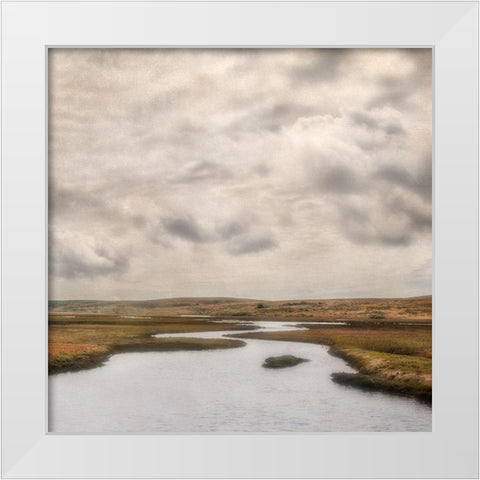 Estuary II White Modern Wood Framed Art Print by Poinski, Dianne