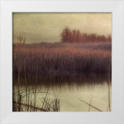 Wetlands Marsh 1 White Modern Wood Framed Art Print by Poinski, Dianne