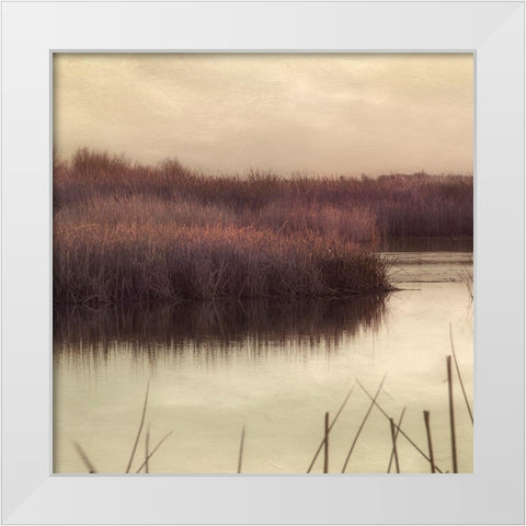 Wetlands Marsh 2 White Modern Wood Framed Art Print by Poinski, Dianne