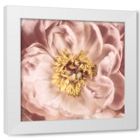 Burgundy Bloom 1 White Modern Wood Framed Art Print by Pearson, Debbie