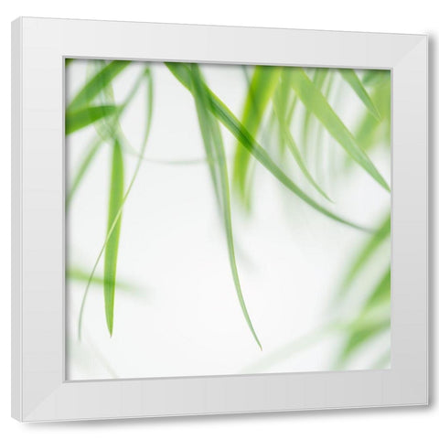 Green Leaves 1 White Modern Wood Framed Art Print by Poinski, Dianne