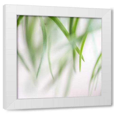 Green Leaves 2 White Modern Wood Framed Art Print by Poinski, Dianne