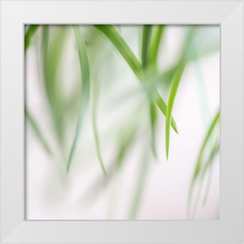 Green Leaves 2 White Modern Wood Framed Art Print by Poinski, Dianne