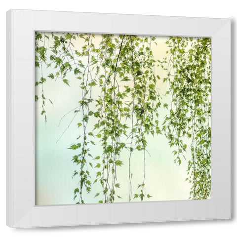 Whisper 2 White Modern Wood Framed Art Print by Poinski, Dianne