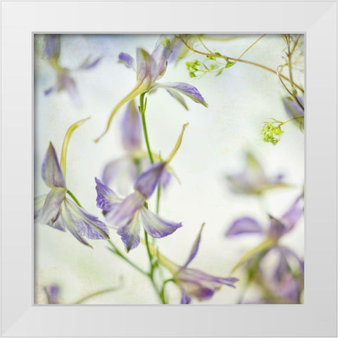 Gentle Dance 1 White Modern Wood Framed Art Print by Poinski, Dianne