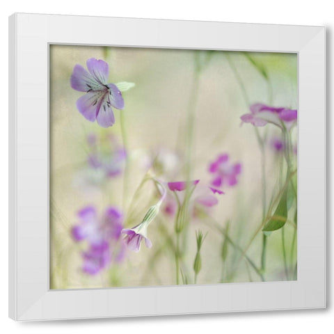Early Spring 1 White Modern Wood Framed Art Print by Poinski, Dianne