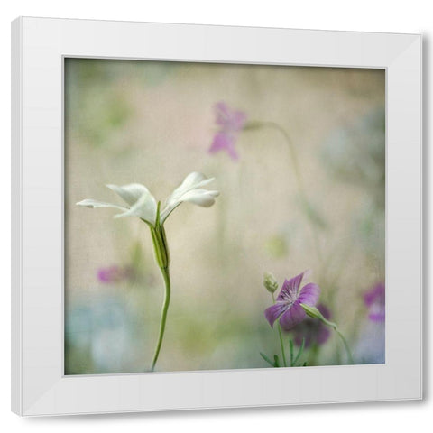 Early Spring 2 White Modern Wood Framed Art Print by Poinski, Dianne