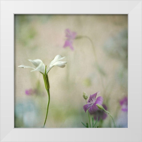 Early Spring 2 White Modern Wood Framed Art Print by Poinski, Dianne