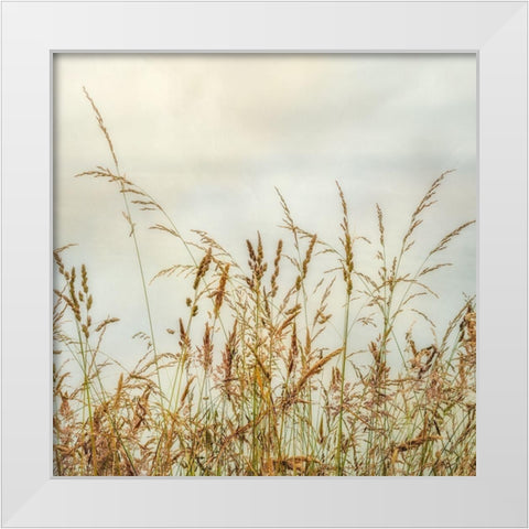 Bluff Grass 1 White Modern Wood Framed Art Print by Poinski, Dianne