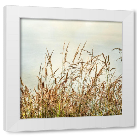 Bluff Grass 2 White Modern Wood Framed Art Print by Poinski, Dianne