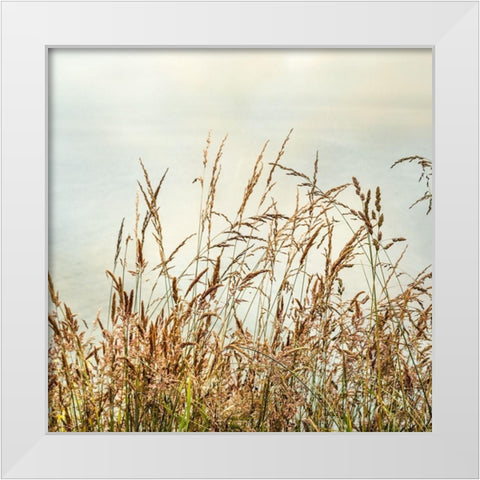 Bluff Grass 2 White Modern Wood Framed Art Print by Poinski, Dianne