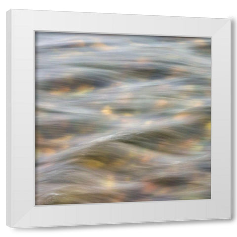 Flow 2 White Modern Wood Framed Art Print by Poinski, Dianne