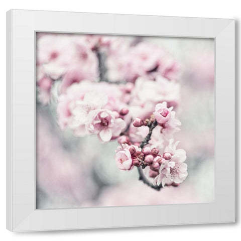 Pink Blossoms 1 White Modern Wood Framed Art Print by Poinski, Dianne