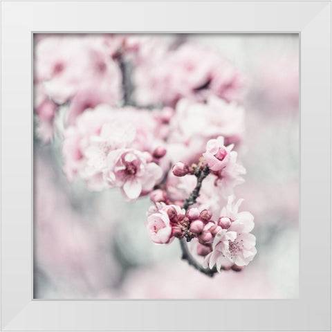 Pink Blossoms 1 White Modern Wood Framed Art Print by Poinski, Dianne