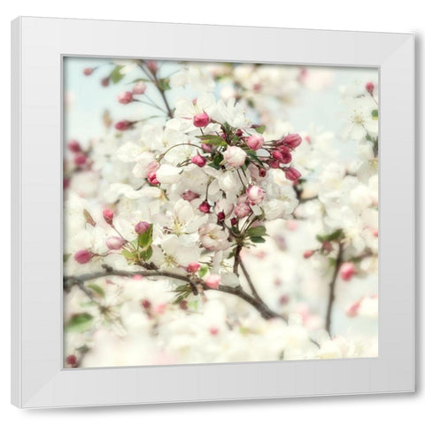 Pink Blossom 2 White Modern Wood Framed Art Print by Poinski, Dianne