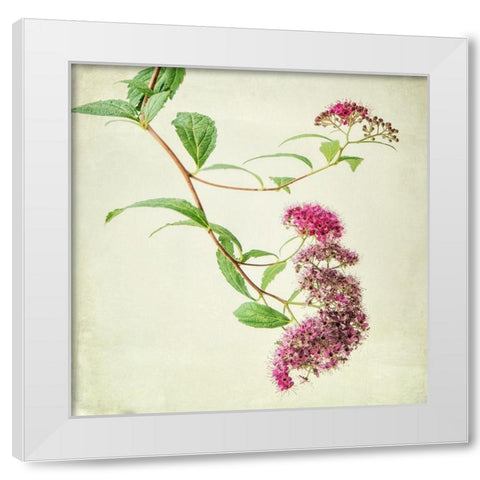 Vintage Pink White Modern Wood Framed Art Print by Poinski, Dianne