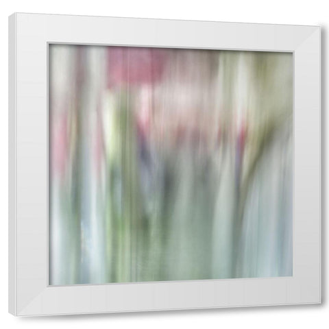 Nature Veiled 2 White Modern Wood Framed Art Print by Poinski, Dianne