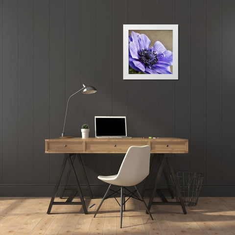 Spring Anemone IV White Modern Wood Framed Art Print by Poinski, Dianne