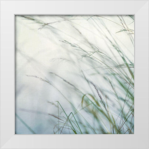 Bluff Grass I White Modern Wood Framed Art Print by Poinski, Dianne