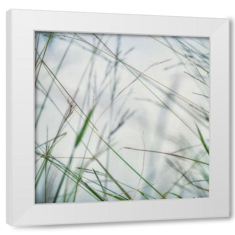 Bluff Grass II White Modern Wood Framed Art Print by Poinski, Dianne