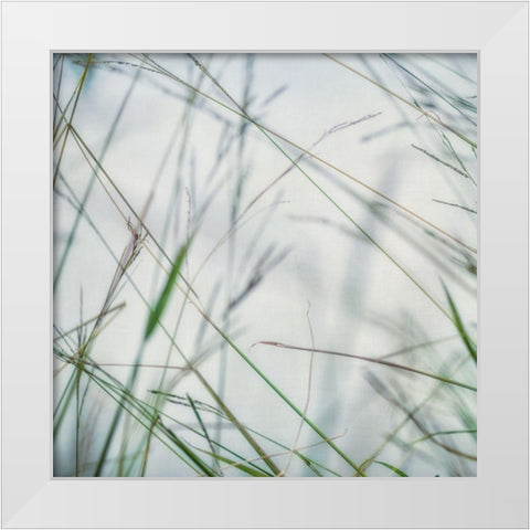 Bluff Grass II White Modern Wood Framed Art Print by Poinski, Dianne