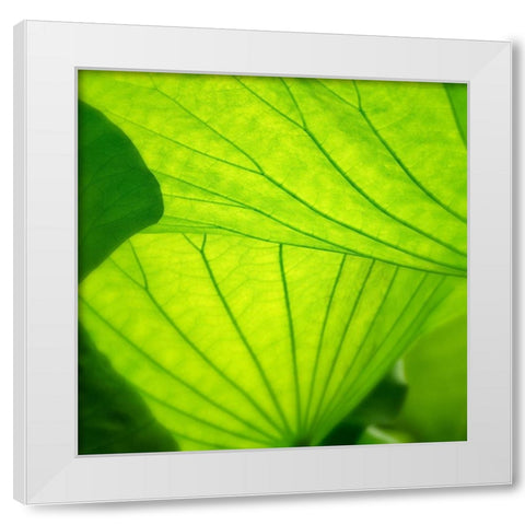 Vivid Green 2 White Modern Wood Framed Art Print by Poinski, Dianne