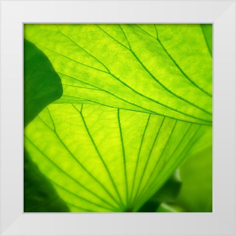 Vivid Green 2 White Modern Wood Framed Art Print by Poinski, Dianne
