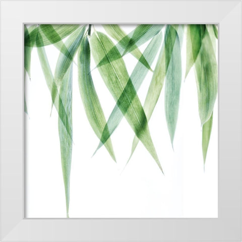 Swaying Bamboo 2 White Modern Wood Framed Art Print by Poinski, Dianne