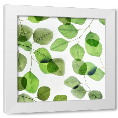 Verdant Leaves 2 White Modern Wood Framed Art Print by Poinski, Dianne