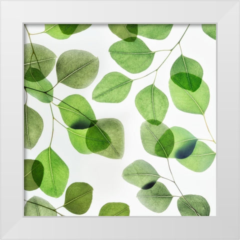 Verdant Leaves 2 White Modern Wood Framed Art Print by Poinski, Dianne