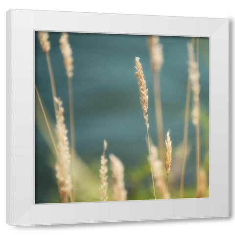 Bountiful Beauty 1 White Modern Wood Framed Art Print by Poinski, Dianne
