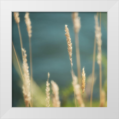 Bountiful Beauty 1 White Modern Wood Framed Art Print by Poinski, Dianne