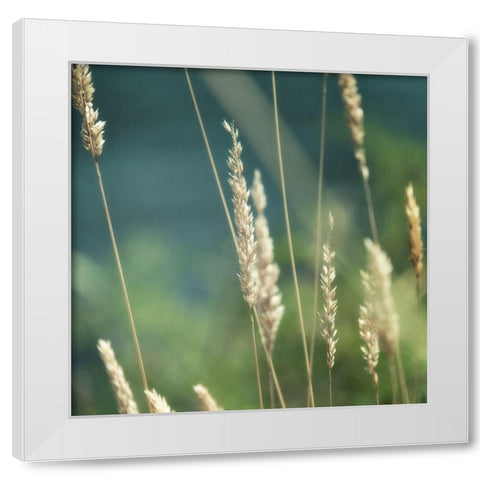 Bountiful Beauty 2 White Modern Wood Framed Art Print by Poinski, Dianne