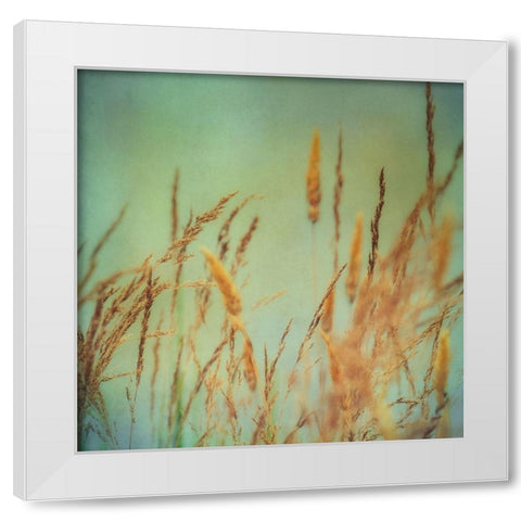 Prairie Grass 1 White Modern Wood Framed Art Print by Poinski, Dianne