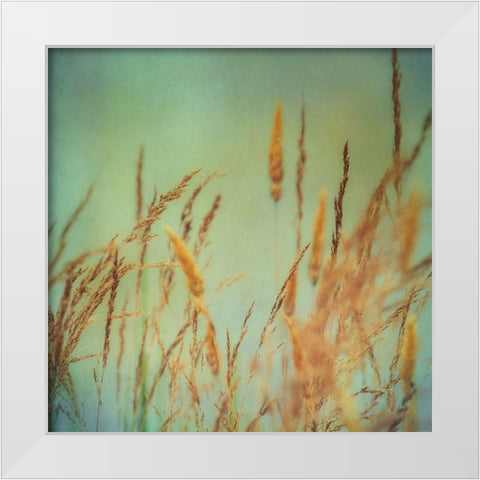 Prairie Grass 1 White Modern Wood Framed Art Print by Poinski, Dianne