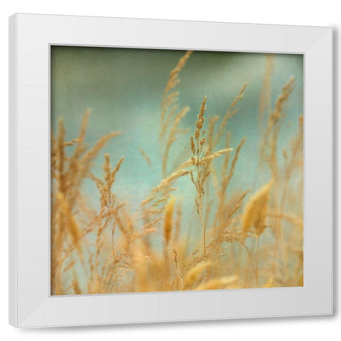 Prairie Grass 2 White Modern Wood Framed Art Print by Poinski, Dianne