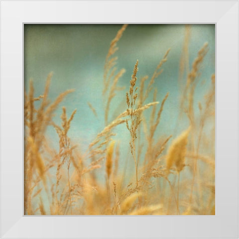 Prairie Grass 2 White Modern Wood Framed Art Print by Poinski, Dianne