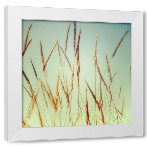 Steppe Carpet 1 White Modern Wood Framed Art Print by Poinski, Dianne