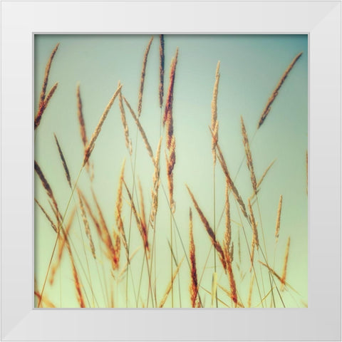 Steppe Carpet 1 White Modern Wood Framed Art Print by Poinski, Dianne